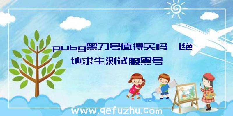 「pubg黑刀号值得买吗」|绝地求生测试服黑号